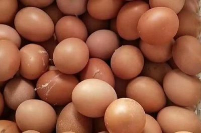 雞下軟殼蛋怎么辦，可在飼料中添加蛋殼粉、碳酸鈣粉