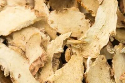 知母的種植注意事項，可以在春、秋兩季種植