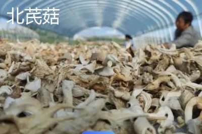 山西省渾源縣的特產(chǎn)，包括恒山黃芪、渾源燒酒、北芪菇等種類