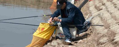 黑坑競技釣鯉魚用哪種魚竿，可選擇本汀隼、擒王、黑蛟龍等竿型