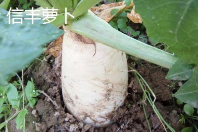 江西省瑞金市的特產(chǎn)，肉圓魚(yú)丸別有風(fēng)味