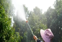 荔枝種植常用哪些農(nóng)藥，不同類型的農(nóng)藥針對性不同