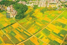 我國(guó)農(nóng)業(yè)發(fā)展的特點(diǎn)，現(xiàn)代化農(nóng)業(yè)生產(chǎn)過(guò)程機(jī)械化且生產(chǎn)技術(shù)科學(xué)化