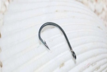13號丸世鉤可以釣多大的鱸魚，合理搭配主線可釣獲1斤以上的魚類