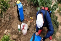 草銨膦可以與哪些藥劑混用，可與氯氟吡氧乙酸、乙羧氟草醚等混用