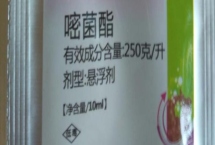 嘧菌酯的用途，可防治白粉病、銹病、網(wǎng)斑病等