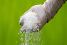氮肥的種類，分為銨態(tài)氮肥、硝態(tài)氮肥和銨態(tài)硝態(tài)氮肥等