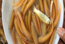 俄羅斯金絲鯇魚苗喂什么飼料，以小麥粉團(tuán)，麥子、玉米為主