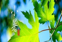 小暑是入伏的第一天嗎，小暑不是入伏的第一天