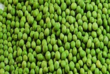 安徽省明光市的特產(chǎn)，明光梅魚一直列為席上佳肴