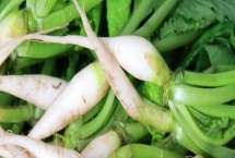 蘿卜菜如何腌制，先將蘿卜菜擇干凈