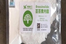 蕓苔素多長時間見效，噴施后7-14天可以見效