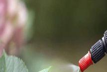 氯氰菊酯適合什么時候打，不同蟲害的防治時間和方式不同