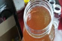 烏桕蜜的產(chǎn)量，一般可達(dá)到40-60斤左右