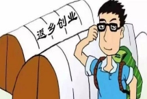 湖北農(nóng)村種什么比較賺錢，種植秋葵的收益比較可觀