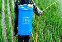 使用尿素肥的濃度，根據(jù)作物的種類(lèi)而定