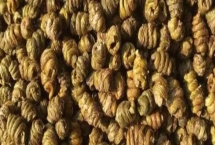 鐵皮石斛的價格，會受到規(guī)格、產(chǎn)地、品牌等條件的影響