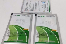 在什么時(shí)候用烯草酮效果好，3-5葉期間使用效果好
