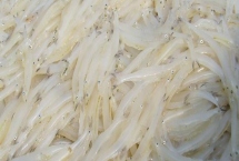 銀魚(yú)的產(chǎn)地，太湖、西湖、馬湖是三大銀魚(yú)盛產(chǎn)湖