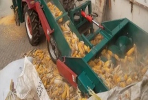 玉米脫粒的方法，機械脫粒效率高