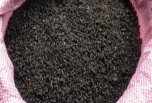 選購高質(zhì)量海藻肥的方法，純正的海藻肥呈黑褐色
