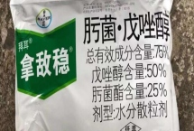什么是拿敵穩(wěn)，是一種低毒內(nèi)吸性殺菌劑
