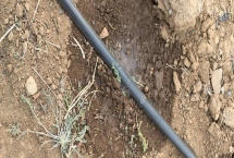 溫室滴灌的好處，可減少濕度降低發(fā)病幾率