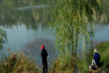 秋季釣魚的適宜時間，初秋適合在早上或下午出釣