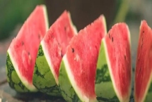 西瓜的種植方法，播種前要曬種2-3天