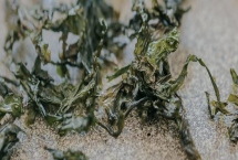 天然日曬紫菜的價格，頭水紫菜的價格約80元一斤