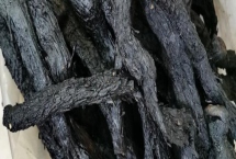 為什么肉蓯蓉是黑色的，這個(gè)是正常的現(xiàn)象
