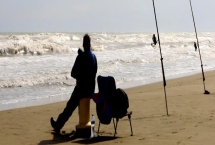 垂釣青魚的適宜時間，4-6月份、8-11月份均為最佳垂釣期