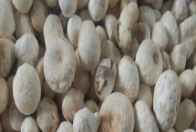 鄆半夏的價格，大概為50-180元左右/斤