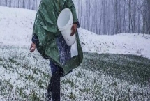 南北地區(qū)小寒差異，南方要做追肥等農(nóng)活、北方通常已經(jīng)歇冬