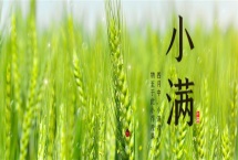 小滿是什么節(jié)氣，是第八個(gè)節(jié)氣