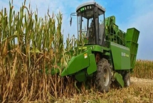 玉米收割機使用前準(zhǔn)備，在工作之前加滿燃油、冷卻水和潤滑油