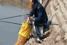 黑坑競技釣鯉魚用哪種魚竿，可選擇本汀隼、擒王、黑蛟龍等竿型