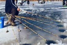 冰釣鯉魚要使用哪種線組，可使用冰釣竿、尼龍線、伊勢尼鉤