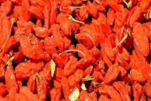 枸杞主產(chǎn)于哪些省份，寧夏、內(nèi)蒙古、甘肅、河北等省份是主產(chǎn)地