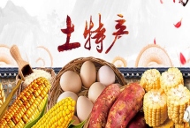青海省格爾木市的特產(chǎn)，包括枸杞、釀皮、唐古拉牦牛等種類