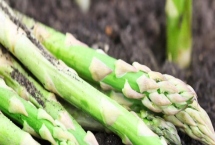 蘆筍苗期怎么管理，定植后要做好補(bǔ)苗、中耕除草等工作