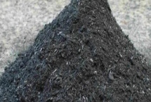 怎么用草木灰防治花卉上面的病蟲(chóng)害，防治葉斑病可直接撒施