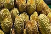 榴蓮如何防止氧化，可放入冰箱冷凍保存