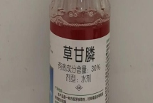 滅草劑打完幾天見效，不同種類的見效時間不同