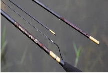 5H魚竿能釣多重的魚，主要取決于魚竿和線組