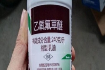乙氧氟草醚可以除什么草，可防除單子葉和闊葉雜草