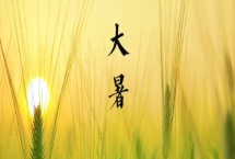 大暑節(jié)氣的習(xí)俗，主要有喝伏茶、燒伏香、曬伏姜