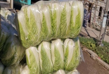 白菜的價(jià)格，不同地區(qū)的價(jià)格有所差異