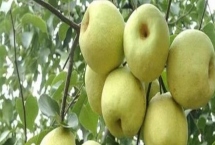 山西晉中市的特產(chǎn)，是國(guó)家級(jí)文化生態(tài)保護(hù)實(shí)驗(yàn)區(qū)