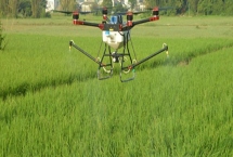 有哪些水稻田除草劑，包括吡嘧磺隆、芐嘧磺隆、丁草胺等藥物